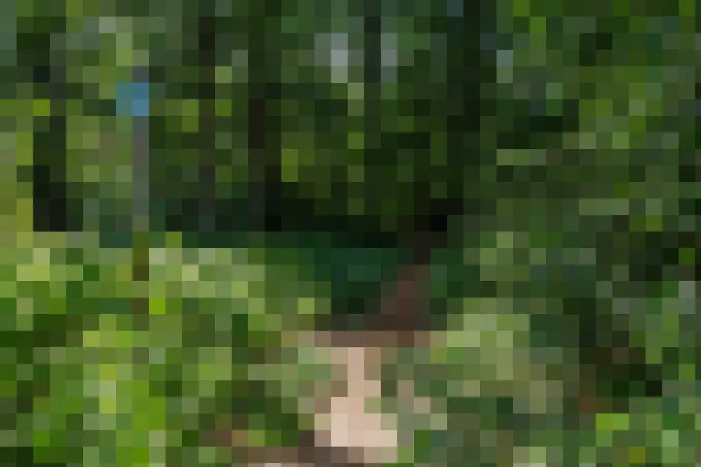 Oude Anloërweg 6 Zuidlaren thumbnail 66