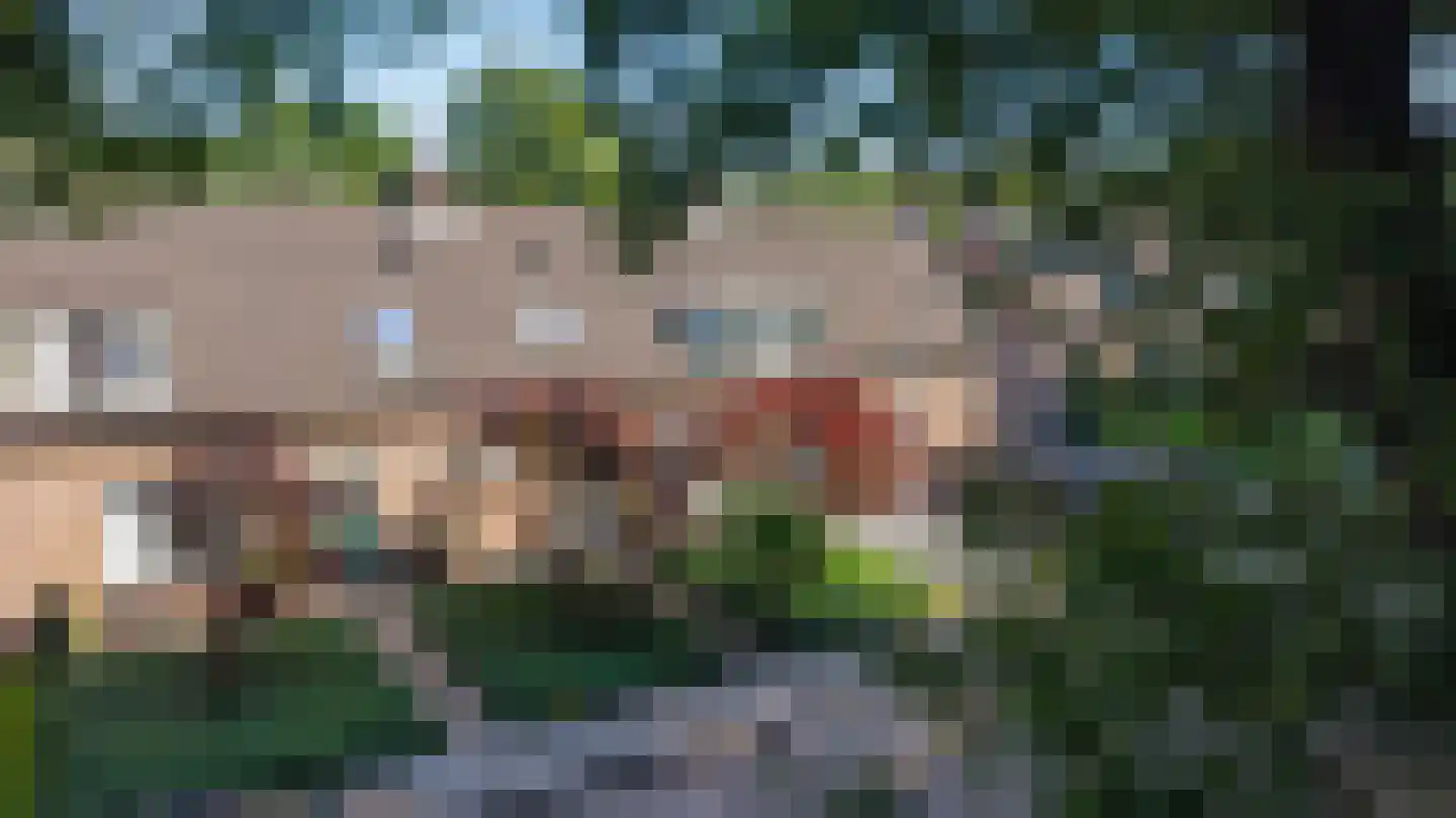 Oude Anloërweg 6 Zuidlaren thumbnail 7