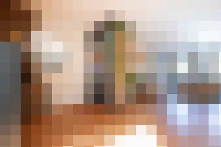 Oude Antwerpsepostbaan 33 b Hoeven thumbnail 15