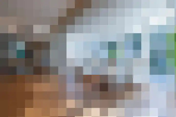 Oude Antwerpsepostbaan 33 b Hoeven thumbnail 16