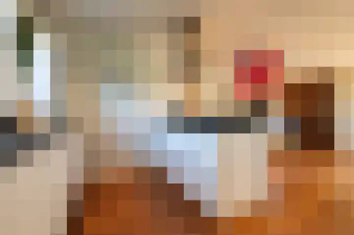 Oude Antwerpsepostbaan 33 b Hoeven thumbnail 22