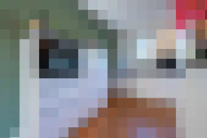 Oude Antwerpsepostbaan 33 b Hoeven thumbnail 24