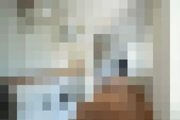 Oude Antwerpsepostbaan 33 b Hoeven thumbnail 26