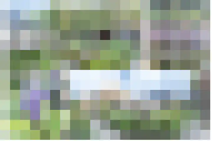 Oude Antwerpsepostbaan 33 b Hoeven thumbnail 29