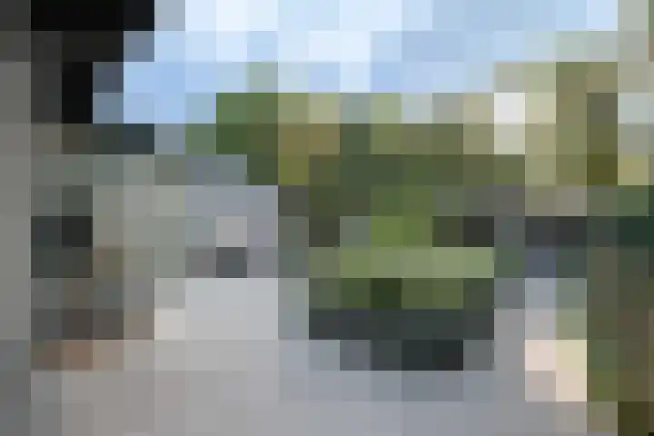 Oude Antwerpsepostbaan 33 b Hoeven thumbnail 30