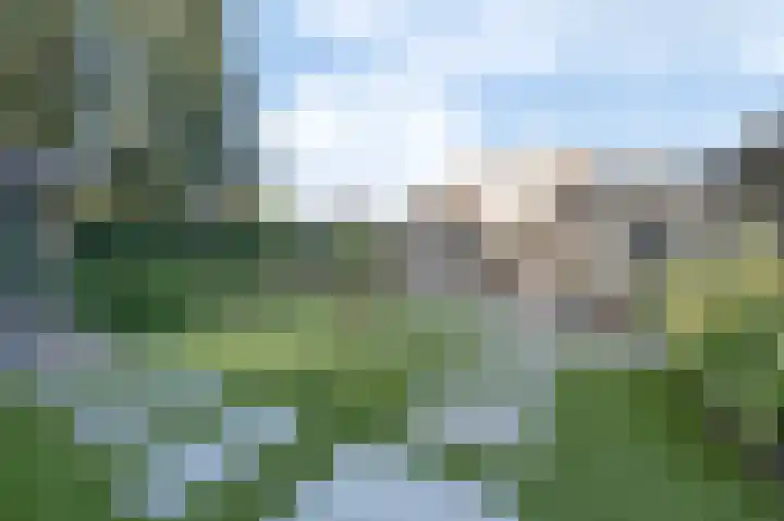 Oude Antwerpsepostbaan 33 b Hoeven thumbnail 32