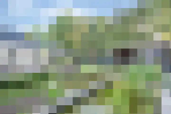 Oude Antwerpsepostbaan 33 b Hoeven thumbnail 35
