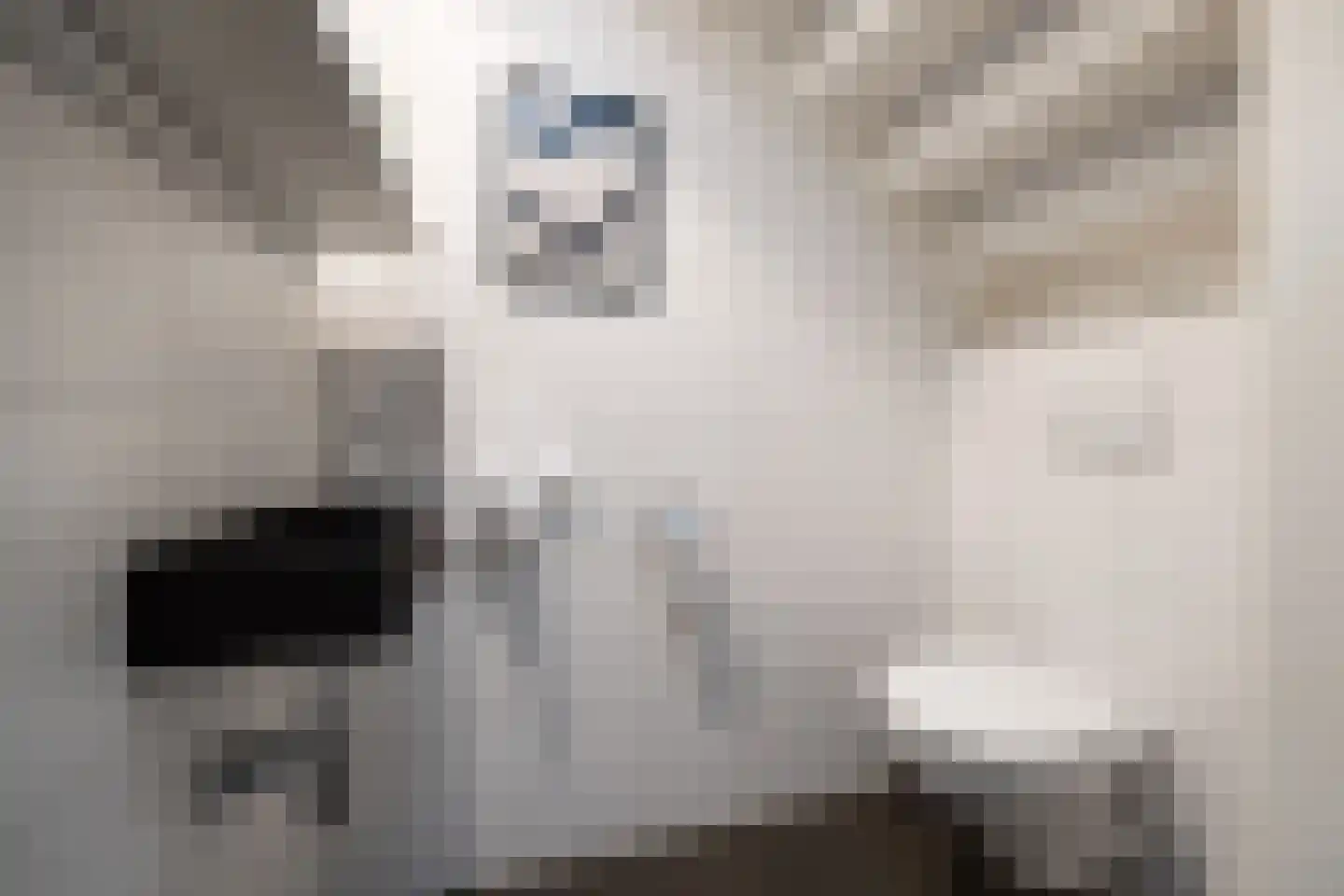 Oude Antwerpsepostbaan 33 b Hoeven thumbnail 4