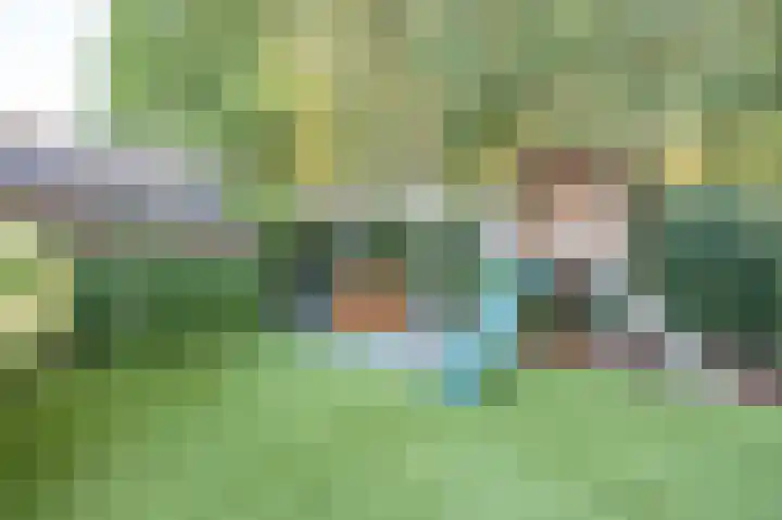 Oude Antwerpsepostbaan 33 b Hoeven thumbnail 40