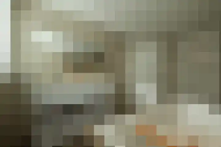 Oude Antwerpsepostbaan 33 b Hoeven thumbnail 58