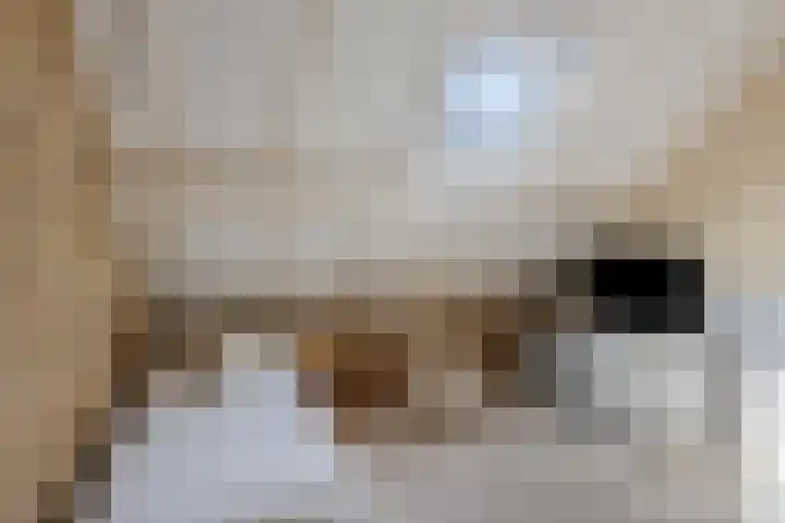 Oude Antwerpsepostbaan 33 b Hoeven thumbnail 63