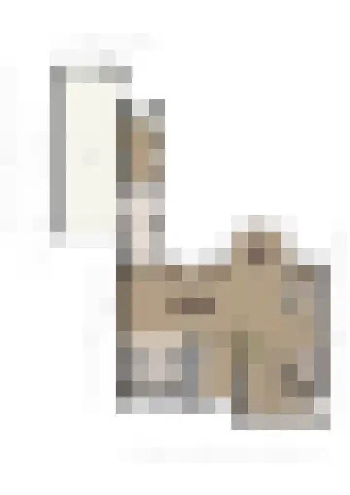 Oude Antwerpsepostbaan 33 b Hoeven thumbnail 65