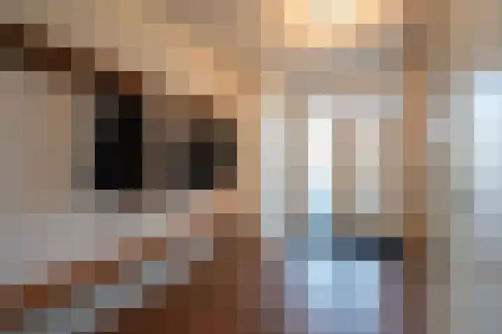Oude Antwerpsepostbaan 33 b Hoeven thumbnail 8