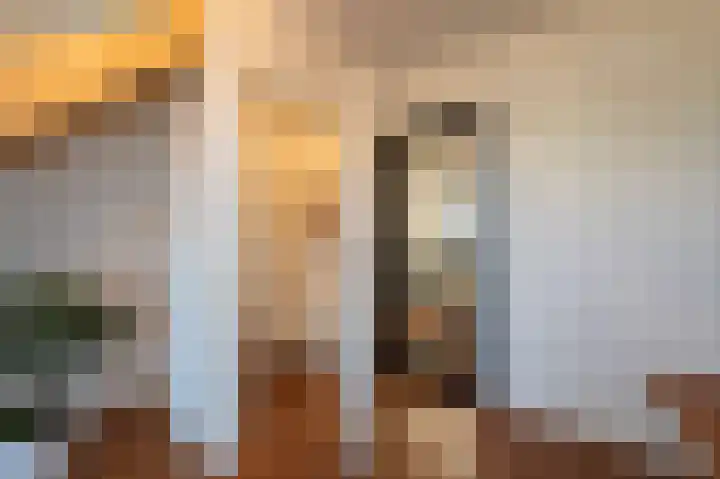 Oude Antwerpsepostbaan 33 b Hoeven thumbnail 9