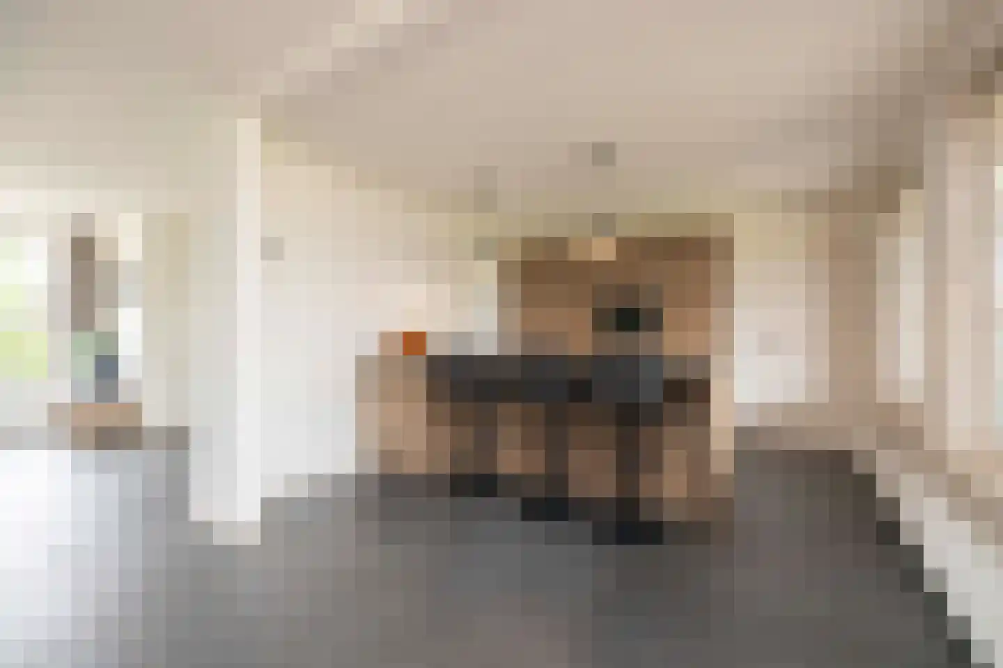 Oude Antwerpsepostbaan 41 b Hoeven thumbnail 21