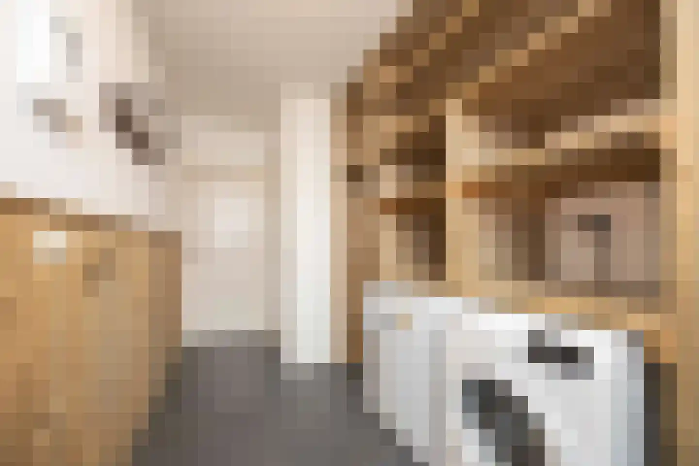 Oude Antwerpsepostbaan 41 b Hoeven thumbnail 29