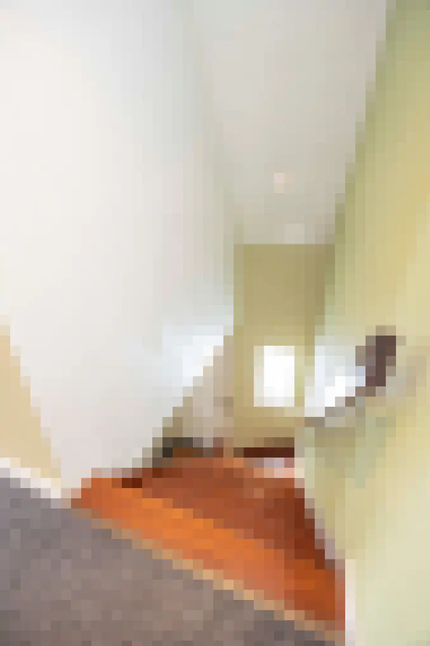 Oude Antwerpsepostbaan 41 b Hoeven thumbnail 32