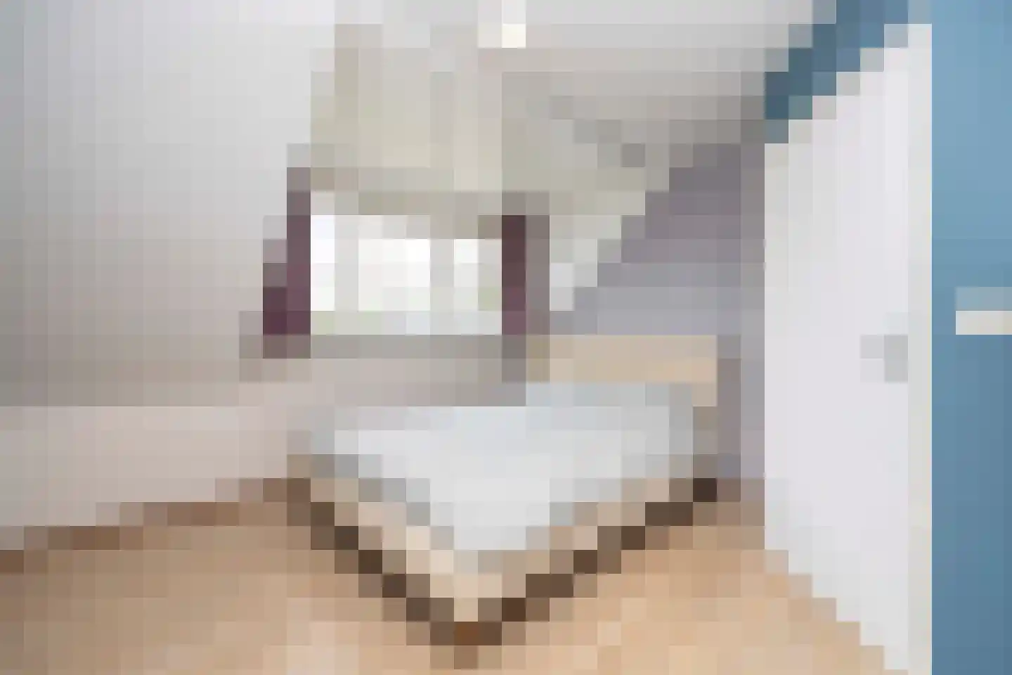 Oude Antwerpsepostbaan 41 b Hoeven thumbnail 38