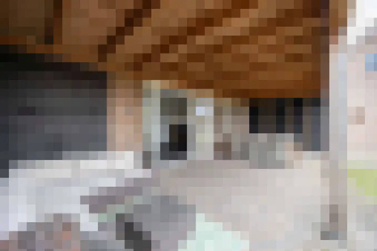 Oude Antwerpsepostbaan 41 b Hoeven thumbnail 46