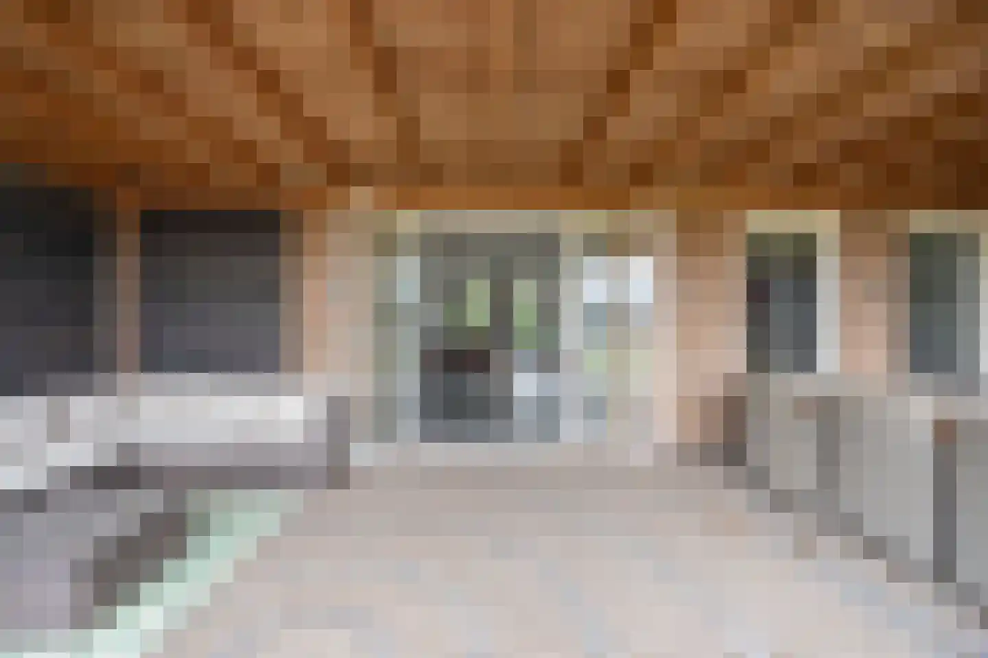 Oude Antwerpsepostbaan 41 b Hoeven thumbnail 47