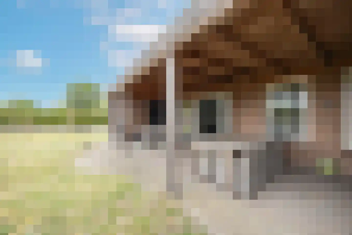 Oude Antwerpsepostbaan 41 b Hoeven thumbnail 49