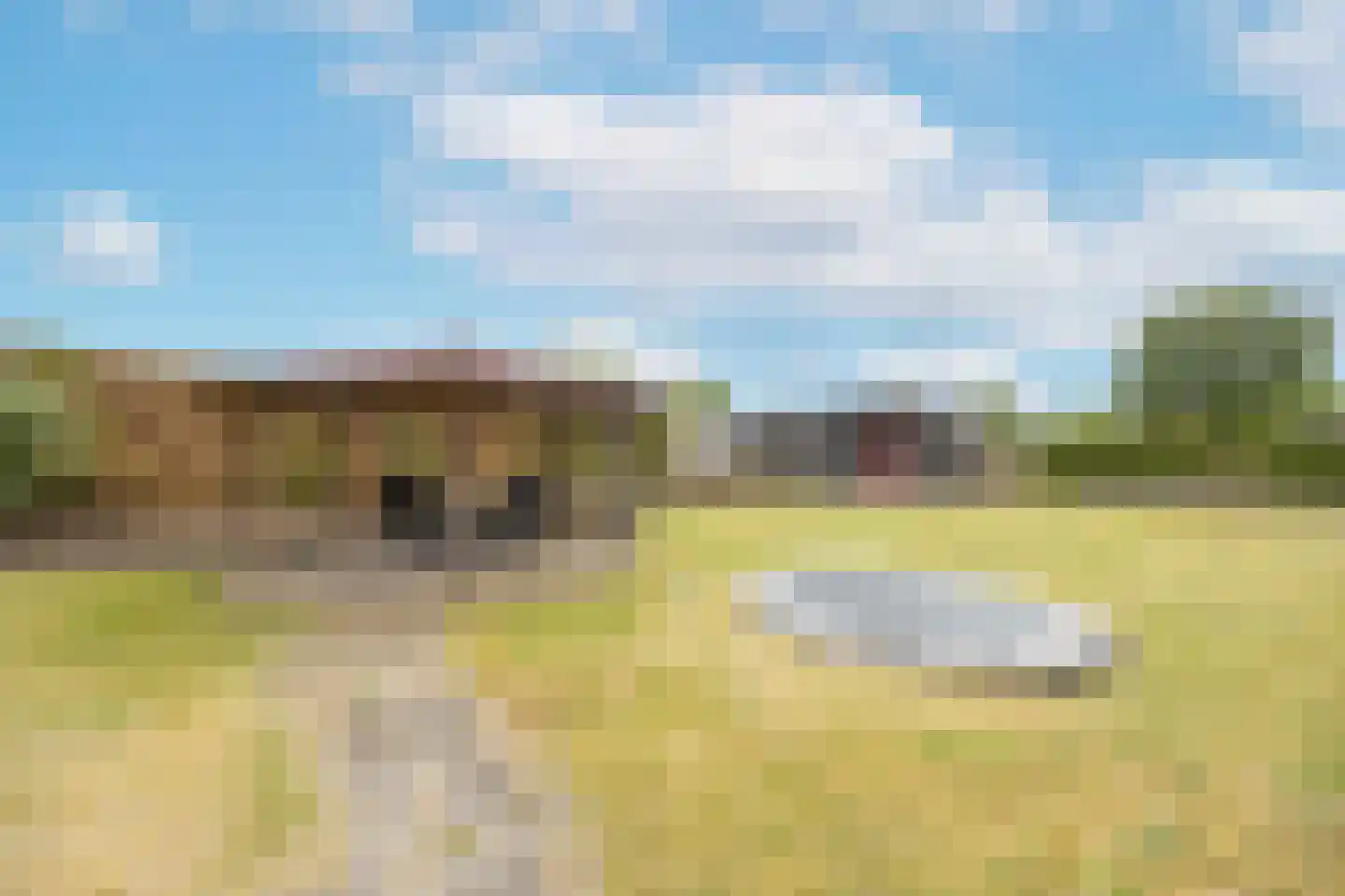 Oude Antwerpsepostbaan 41 b Hoeven thumbnail 51