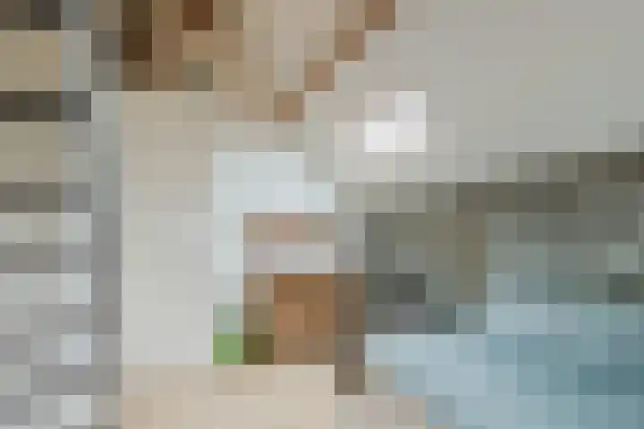 Oude Antwerpsepostbaan 67 Hoeven thumbnail 40