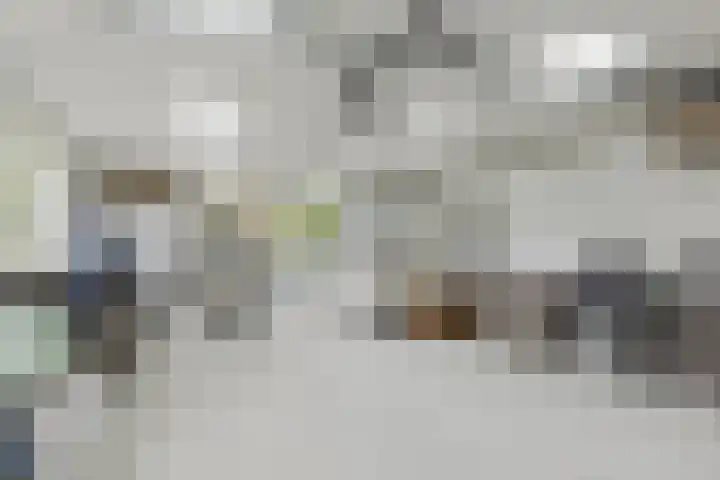 Oude Antwerpsepostbaan 67 Hoeven thumbnail 56