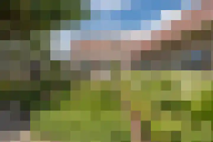 Oude Antwerpsepostbaan 67 Hoeven thumbnail 59