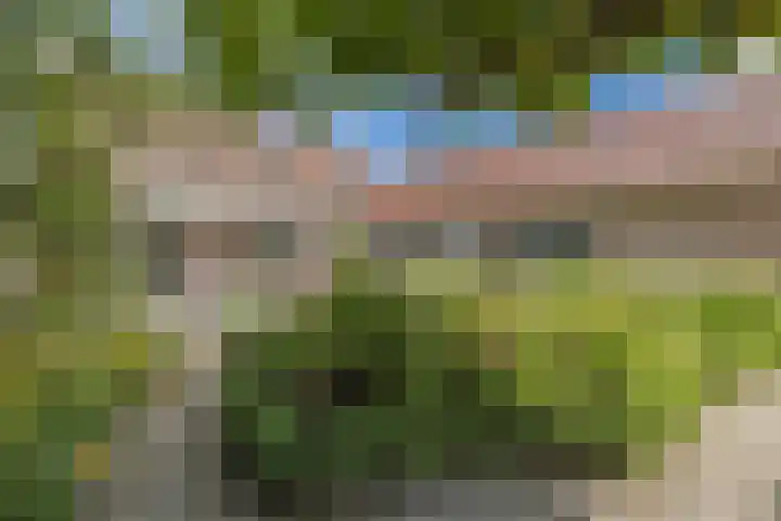 Oude Antwerpsepostbaan 67 Hoeven thumbnail 60