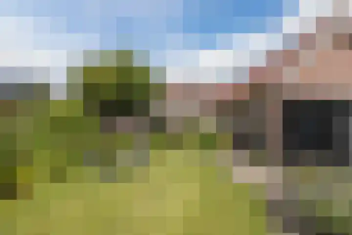 Oude Antwerpsepostbaan 67 Hoeven thumbnail 62