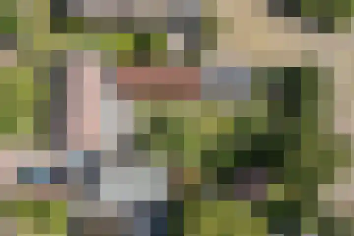 Oude Antwerpsepostbaan 67 Hoeven thumbnail 73
