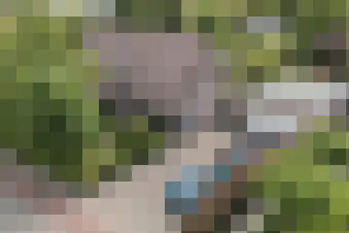 Oude Antwerpsepostbaan 67 Hoeven thumbnail 8