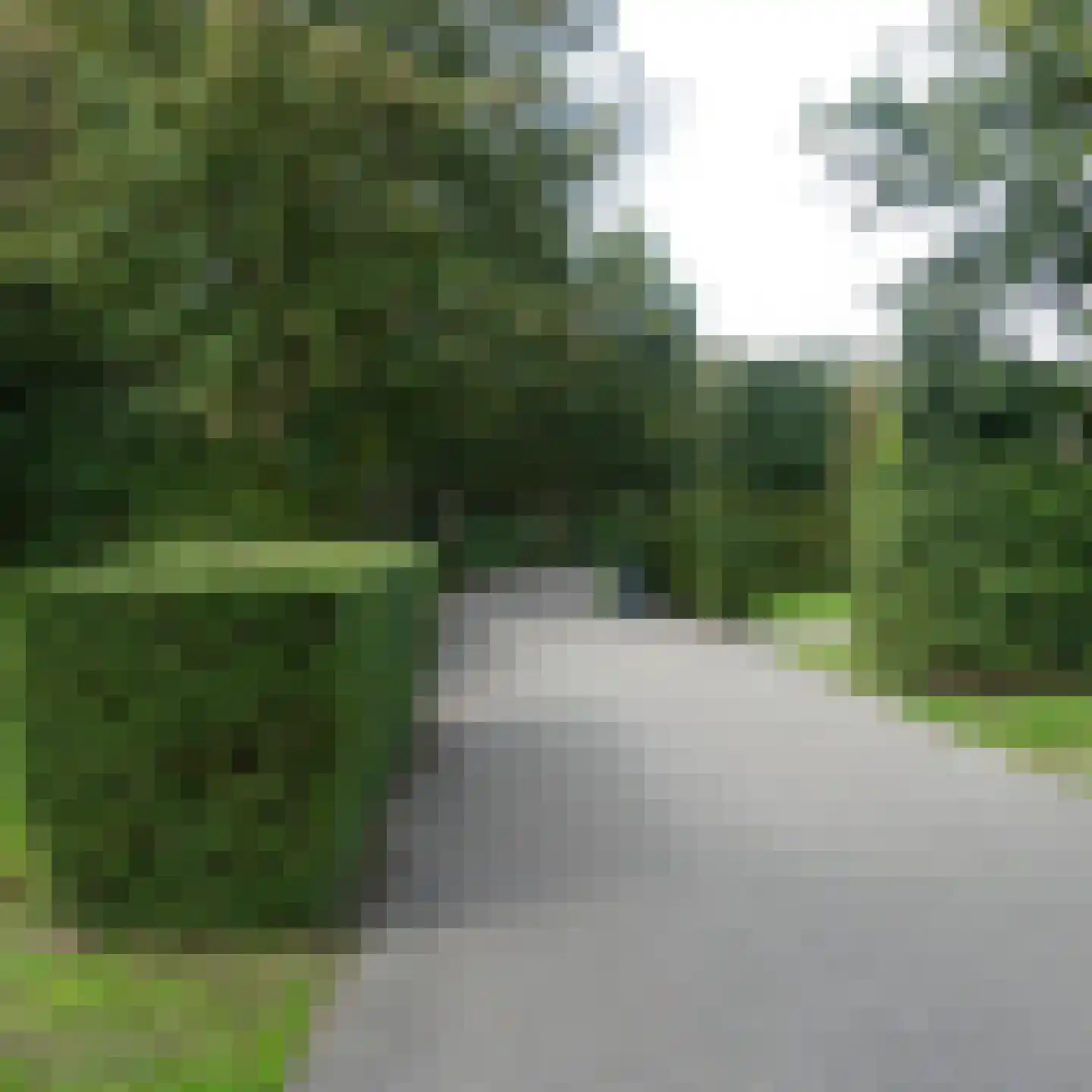 Oude Antwerpsepostbaan 81 a 01 Hoeven thumbnail 11