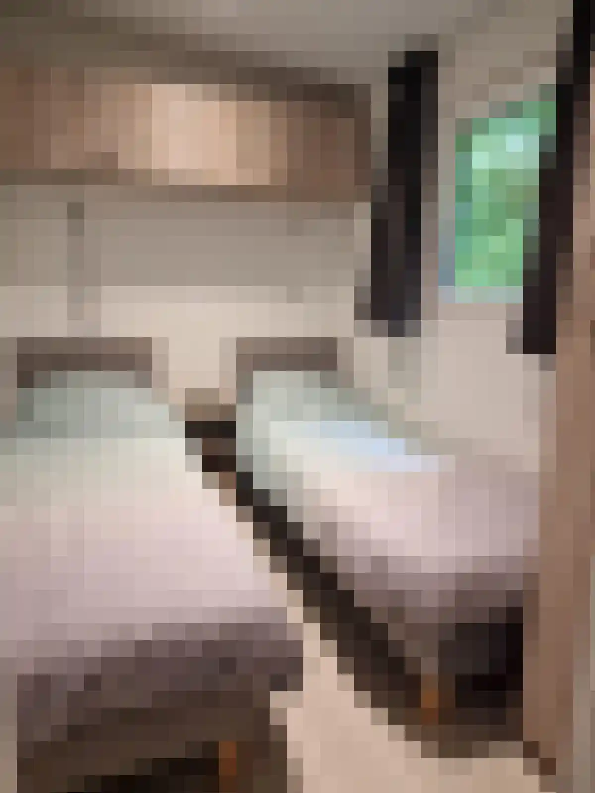 Oude Antwerpsepostbaan 81 b Hoeven thumbnail 4