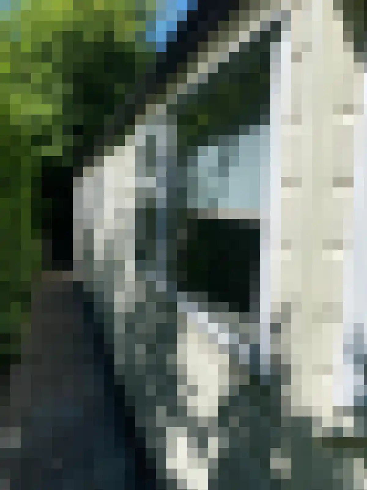 Oude Antwerpsepostbaan 81 b Hoeven thumbnail 4
