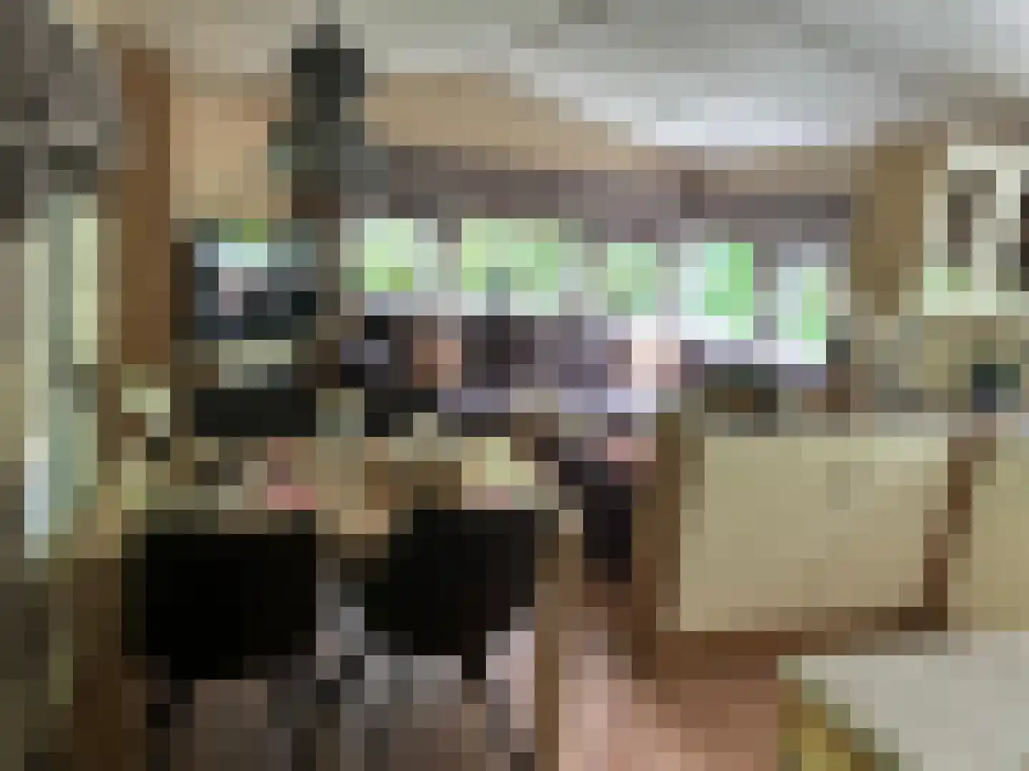 Oude Antwerpsepostbaan 81 b Hoeven thumbnail 5