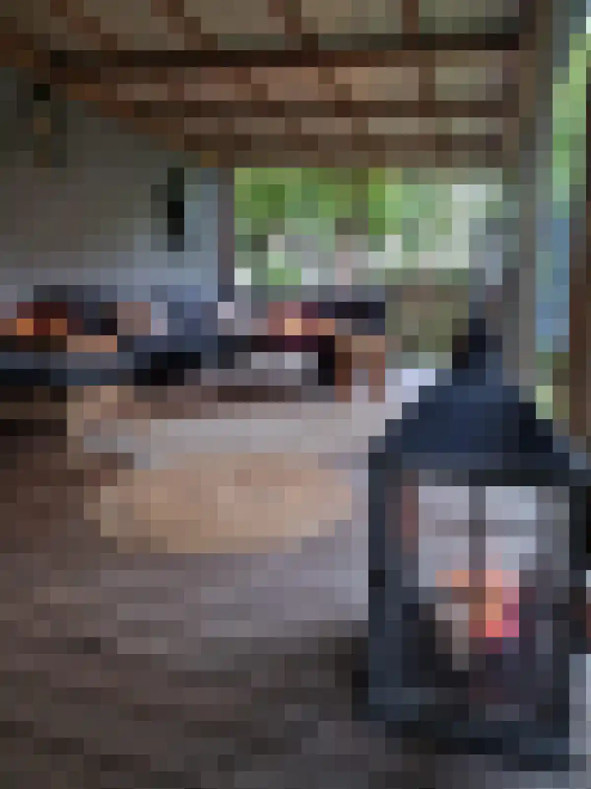 Oude Antwerpsepostbaan 81 b Hoeven thumbnail 9