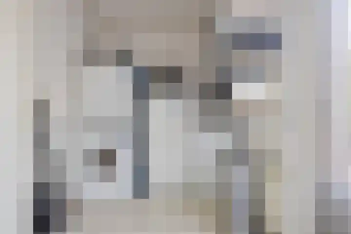 Oude Apeldoornseweg 14 Vaassen thumbnail 15