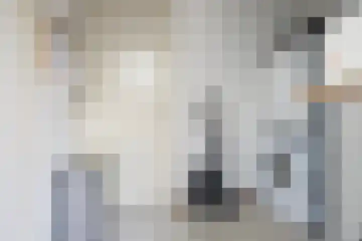 Oude Apeldoornseweg 14 Vaassen thumbnail 16