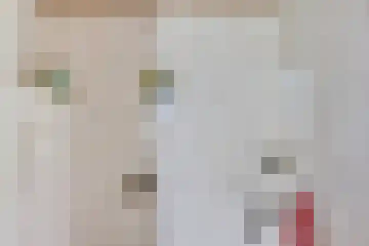 Oude Apeldoornseweg 14 Vaassen thumbnail 18