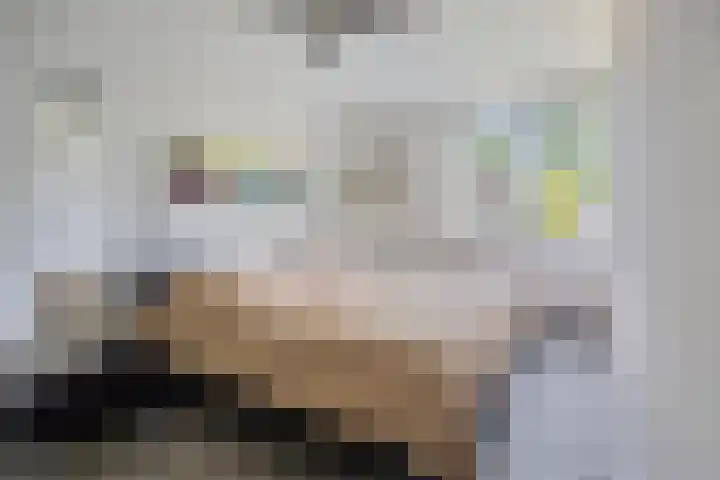 Oude Apeldoornseweg 14 Vaassen thumbnail 20