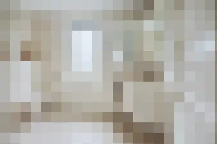 Oude Apeldoornseweg 14 Vaassen thumbnail 22