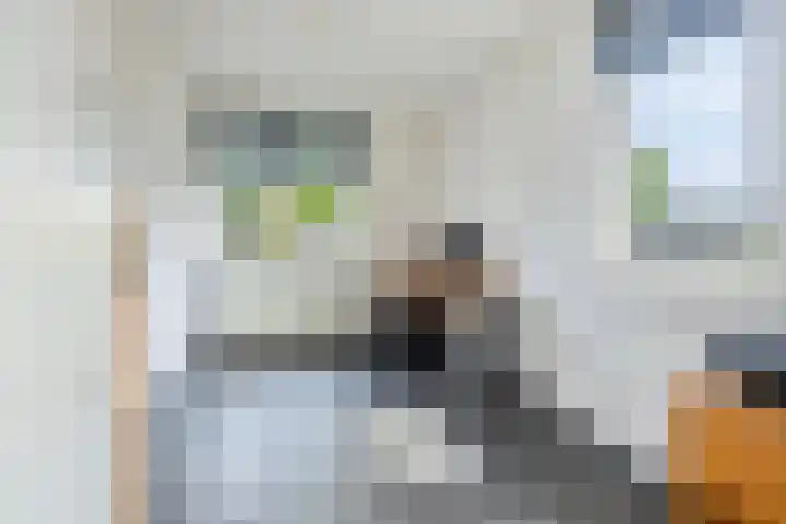 Oude Apeldoornseweg 14 Vaassen thumbnail 25