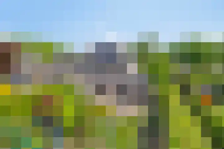 Oude Apeldoornseweg 14 Vaassen thumbnail 32