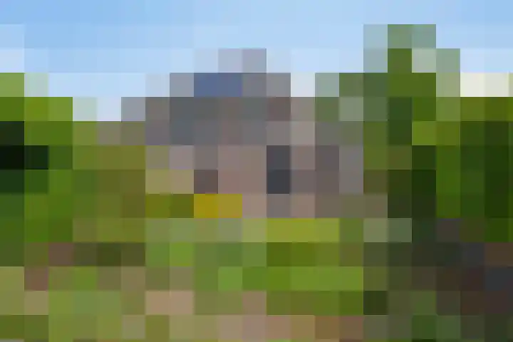 Oude Apeldoornseweg 14 Vaassen thumbnail 33