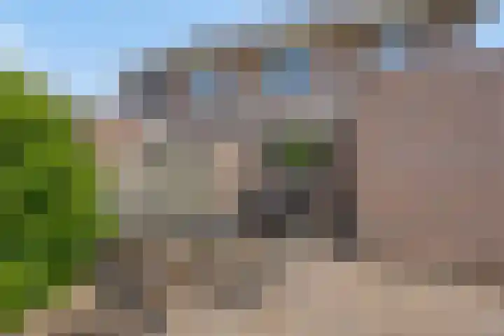 Oude Apeldoornseweg 14 Vaassen thumbnail 34