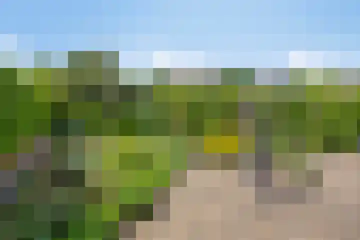 Oude Apeldoornseweg 14 Vaassen thumbnail 36