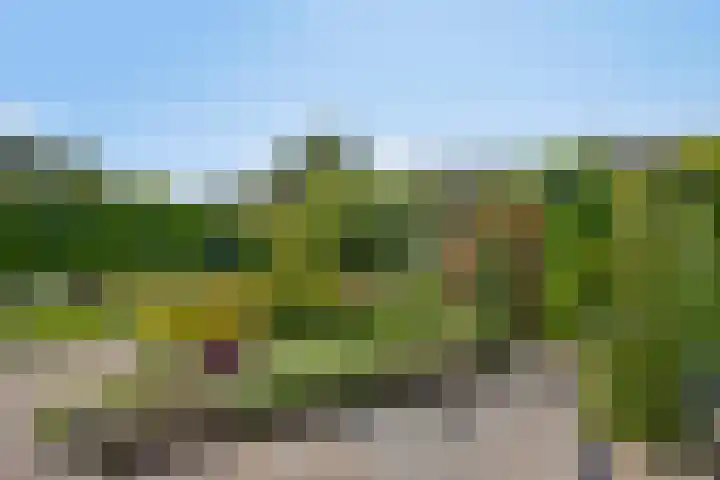 Oude Apeldoornseweg 14 Vaassen thumbnail 37