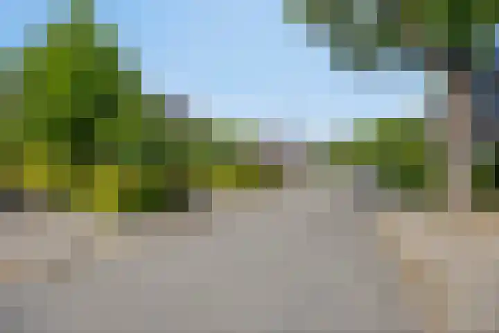 Oude Apeldoornseweg 14 Vaassen thumbnail 39